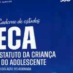 Atualizações na Legislação Relacionada ao ECA